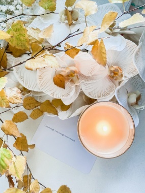 干枝兰花香薰静物摄影图片